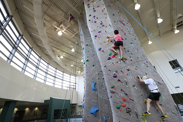 Rock Wall