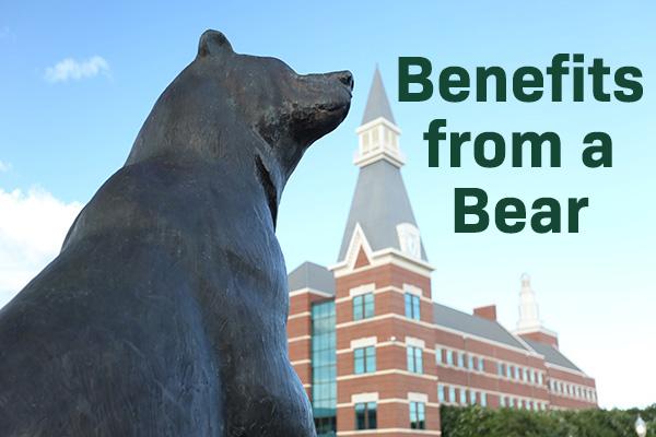 Benefits from a Bear